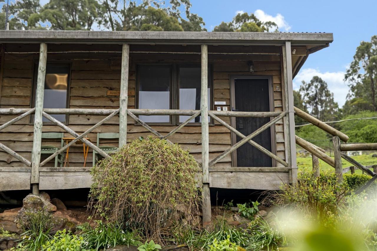 Mole Creek Cabins Ngoại thất bức ảnh