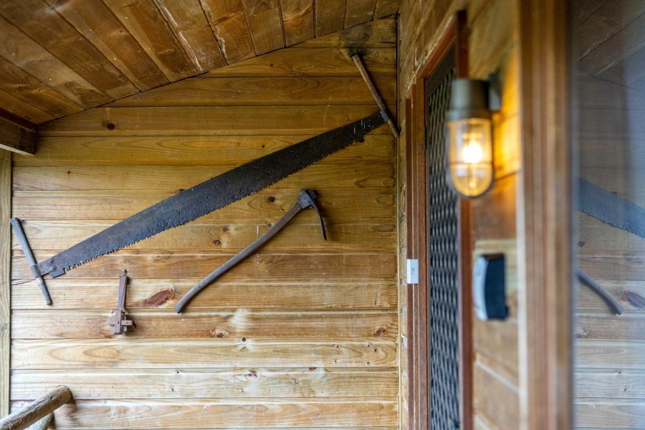 Mole Creek Cabins Ngoại thất bức ảnh